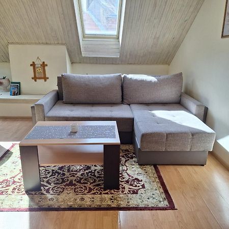 Vidos Apartamentai ヴィリニュス エクステリア 写真