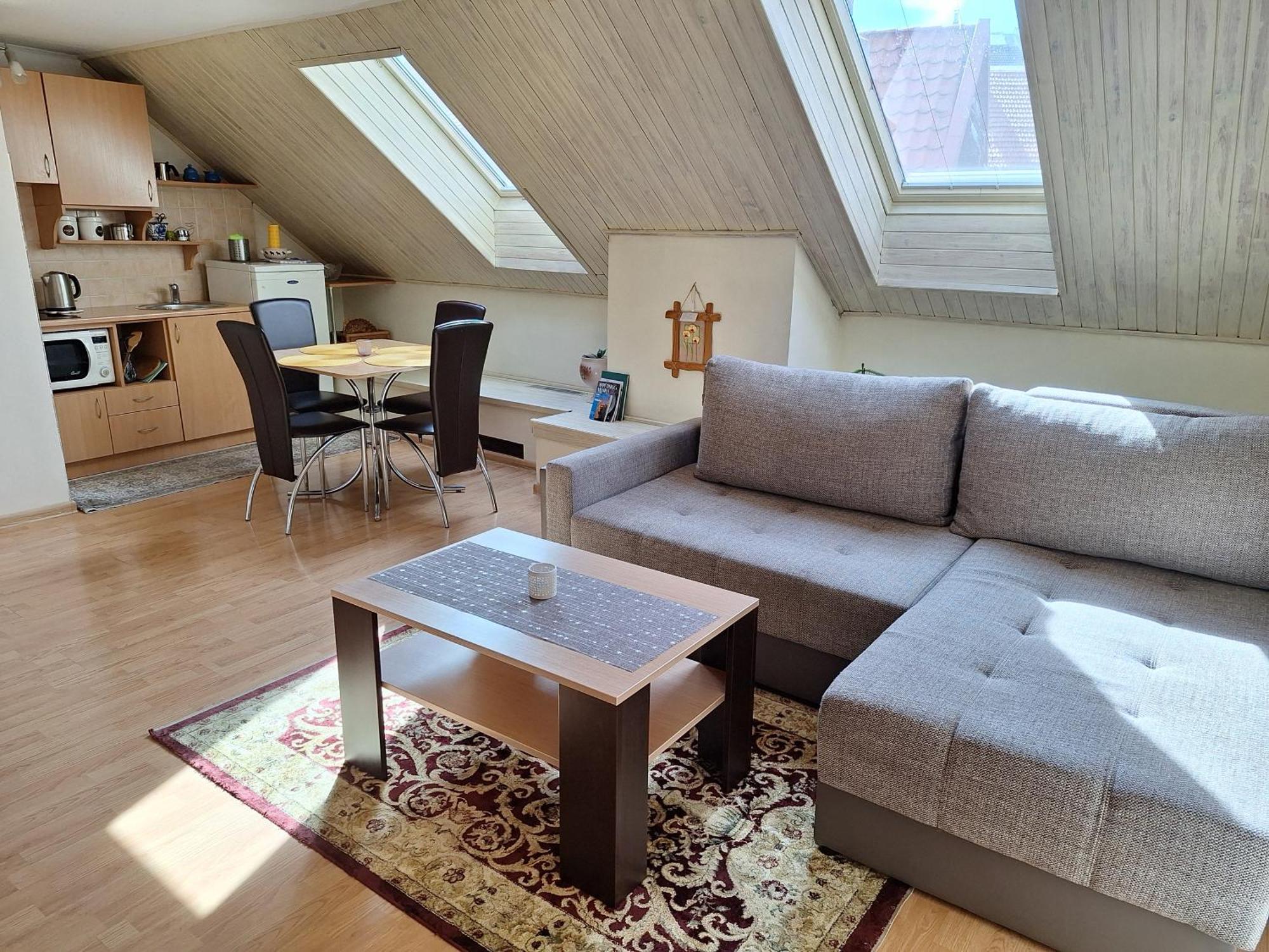 Vidos Apartamentai ヴィリニュス エクステリア 写真